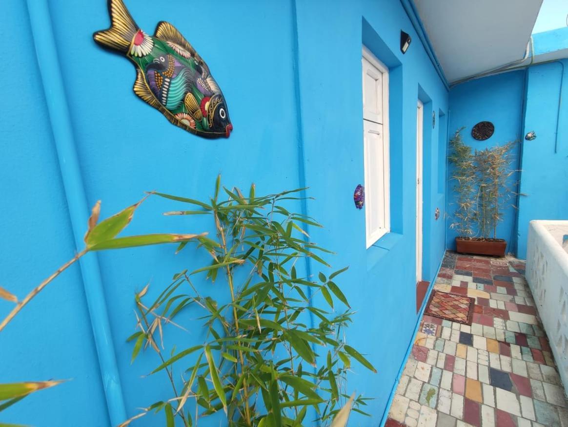 Chuchumbe Hotel & Hostal Βερακρούζ Εξωτερικό φωτογραφία