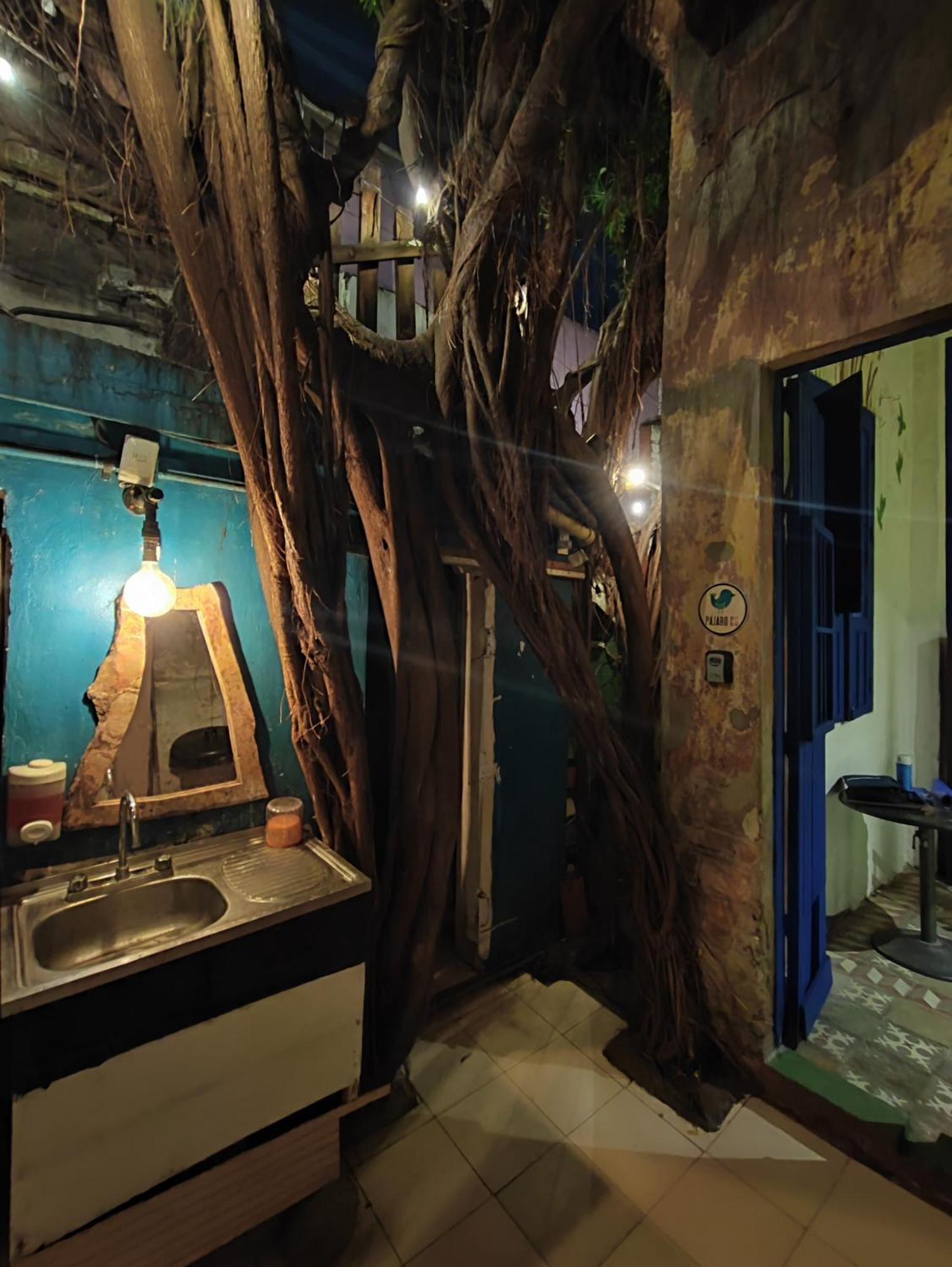 Chuchumbe Hotel & Hostal Βερακρούζ Εξωτερικό φωτογραφία